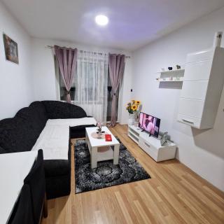 Apartman Zivkovic - 8