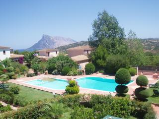 Flamingo's Home - Monte Petrosu - 2