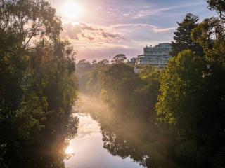 Acacia - Riverside Wellness - Nature meets City - 9
