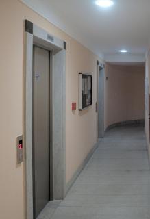 Vineyard | Praia de Itaparica - 4