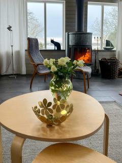 House With Private Jetty On An Island In Blekinge - 5