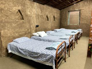 The peepal mud homes farm stay - 5