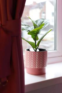 Cozy Private Room with Fast WiFi Full Kitchen Garden - 1