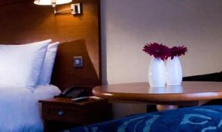 Hickstead Hotel - Bolney - 4