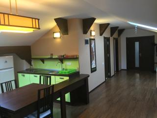 Apartament Miruna - Sinaia - 8