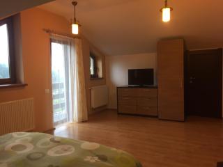 Apartament Miruna - Sinaia - 4