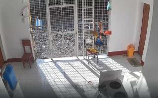 Casa de Renta Beach House in Belison, Antique up to 8 with AC, Wi-Fi, Kitchen Fully Furnished - 1