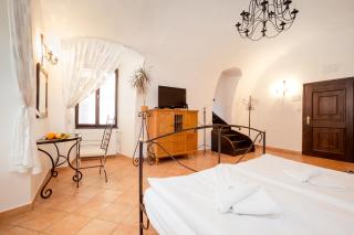 Hotel Zlaty Andel - Český Krumlov - 1