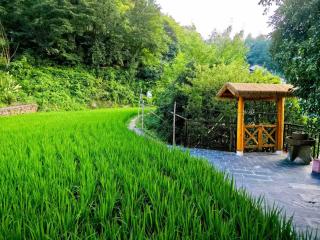 Linyun Shanju Hotel - 7