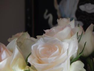 Slow living beautiful villa - 2