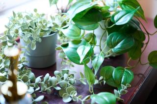 Hotel Sho Sapporo - Vacation STAY 61183v - 4