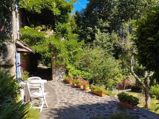 Mas de la Petite Occitane - Cévennes sud - 9