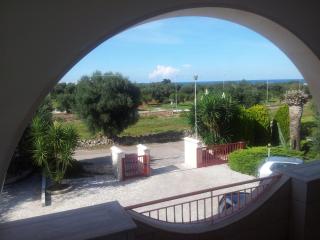 Villa Santo Stefano - Monopoli - 7