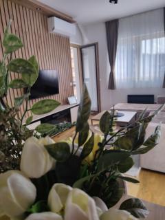 Apartman NIT Zlatibor - 4