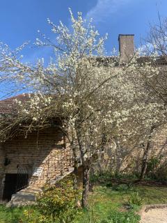 La Victoire de Noyers - 5