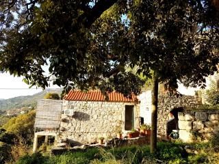Cottage Melita the Apartment for Animal Lovers - Babino Polje - 2