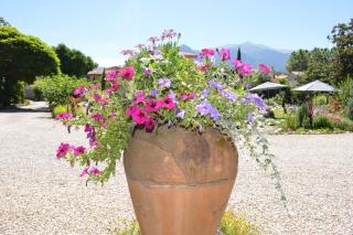 Villa Lafabregue - Prades - 4