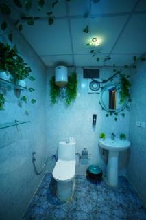 Luxurious 1BHK with Balcony Garden & City View - 6