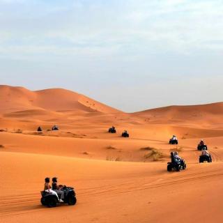 Lunara Desert Camp - 2