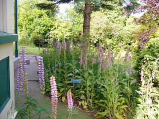 Forest Manor - Geraldine - 4