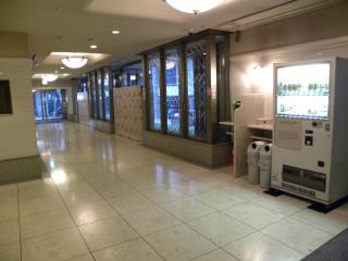Hotel New Green Okachimachi - Tokio - 8
