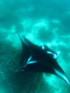 Par fray homestay - 8