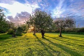 2 Bed in Langton Herring oc-o36304 - 9