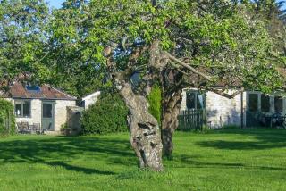 2 Bed in Langton Herring oc-h36305 - 0