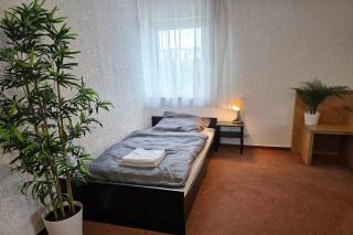 Apartments in Trebur-Astheim - 9