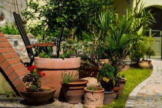 Gästezimmer Bog2 - Görlitz - 3