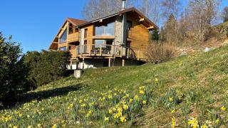 Les Gelinottes - Avec sauna privé - La Bresse - 0