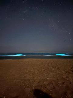Encantadora casa rodeada de naturaleza en Punta Rubia, a dos cuadras de la playa - 1