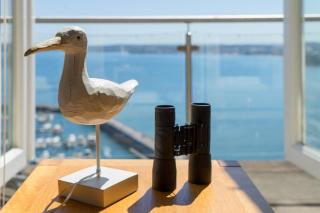 2 Bed in Torquay oc-9marco - 1