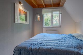 Heggenmus I Huisje met Haard in de Tuin - 3