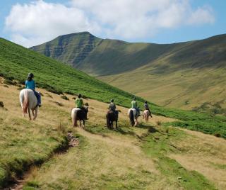 Dog-Friendly 6-Person Cottage with Hot Tub - Cantref, Brecon - 0