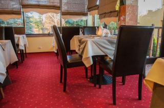 Hotel Rypsówka - Nowy Sącz - 5