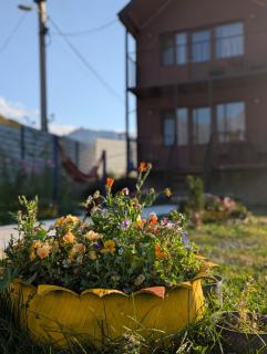 cottage nikolozi - 5