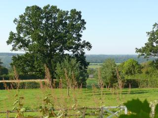 Manoir de Pincelu - 2