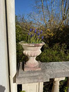 Bretagne Haus mit traumhaftem Garten und Wald, Kinder- und Hundeparadies - 3