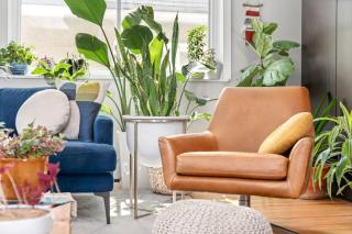 Ramsay Manor - Walk to Stampede in 10 mins - 6