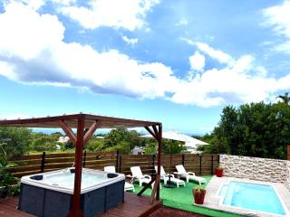 Villa Le Cyprès classée 4 Etoiles billard, piscine et jacuzzi - 9