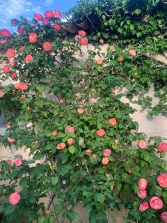 2 pièces Arles - Arles - 2