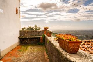 Villa Il Leccio Vinci - 7