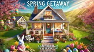 Serenity Studios - Near Med Center & Museum District - 8