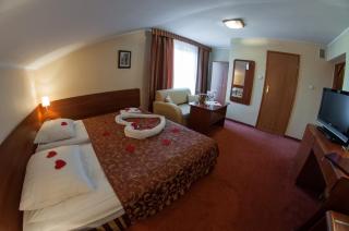 Hotel Rypsówka - Nowy Sącz - 7