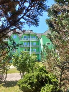 Квітка Закарпаття - 7