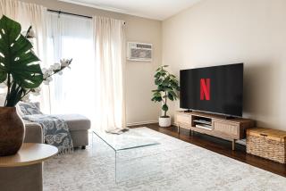 Elegant 1 BR apartment - 3