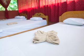 Maniti Eco-Lodge - Francisco de Orellana - 8