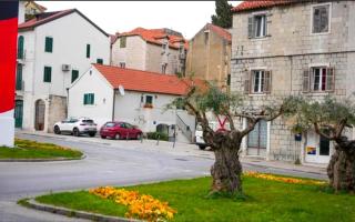 A 1 cozy studio in the heart of Split with parking - 5