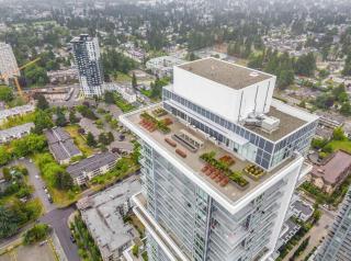 Sky Suite 2 BR in Central City & Rooftop Terrace - 4
